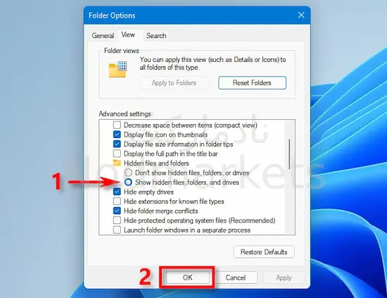 چگونه فایل های مخفی شده را در ویندوز 11 ظاهر کنیم 